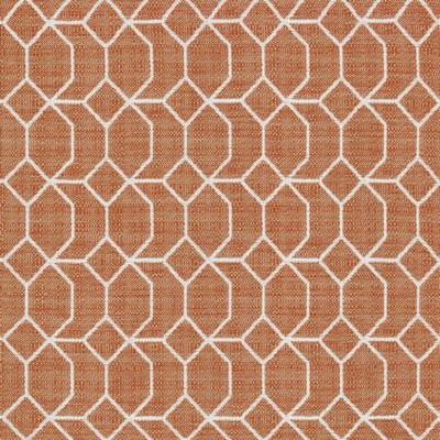 Kasmir Quincy Trellis Nectar in 5121 Upholstery Polyester  Blend Fire Rated Fabric Medium Duty CA 117   Fabric
